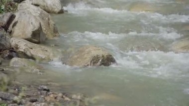 Fırtınalı dağ nehir orman