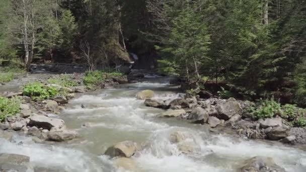 Burzowa Górska Rzeka Lesie Wiosna Słoneczna Pogoda — Wideo stockowe