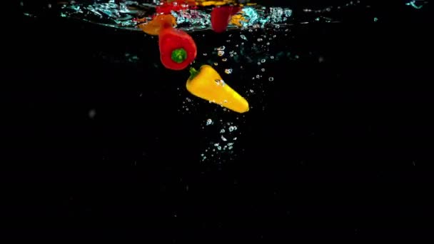 Красочные Органические Перцы Помидоры Мягко Попадают Горшок Кристально Чистой Водой — стоковое видео
