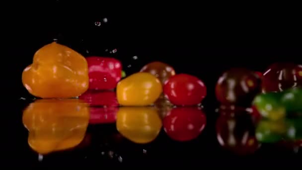 Bio Farbenfrohes Gemüse Fällt Sanft Auf Den Nassen Reflektierenden Hintergrund — Stockvideo