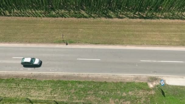 Une Route Campagne Solitaire Houblon Proximité Est Heure Été — Video