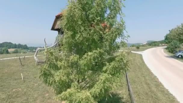 Ανανεωμένη Και Ανακαινισμένη Παλιά Σχάρα Πράσινο Δέντρο Μπροστά Από Αυτό — Αρχείο Βίντεο