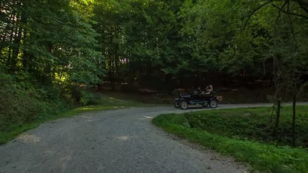 Långsam Provkörning Genom Anmärkningsvärd Natur Solig Höst Dag Kvinnliga Och — Stockvideo