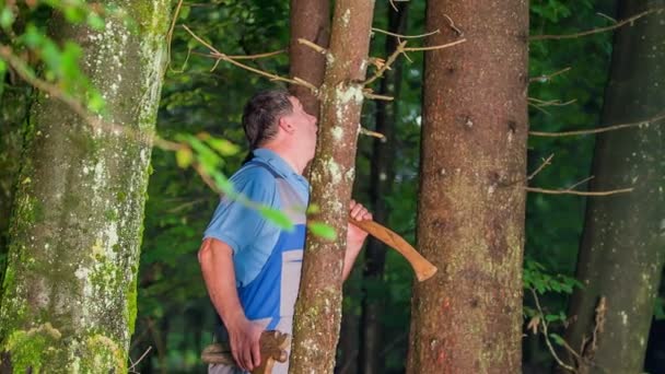 Forester Está Caminhando Por Uma Floresta Entre Troncos Árvores Cheios — Vídeo de Stock