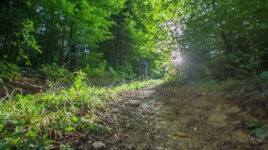 Forester orman boyunca bir yürüyüşe gidiyor, o huzurlu ve olağanüstü yeşilliklerle zevk.