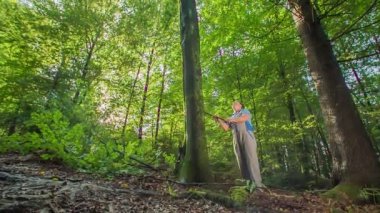 Bir balta ile yaşlı ve kararlı oduncu doğru ağacı kesmek ve modern mobilya özel bir parçası için ahşap şekillendirmek için arıyor.