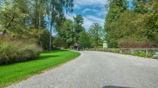 Zwiedzanie Wspaniały Narodowy Kwiat Park Niezwykłym Amerykańskim Drewnianym Samochodem Początków — Wideo stockowe