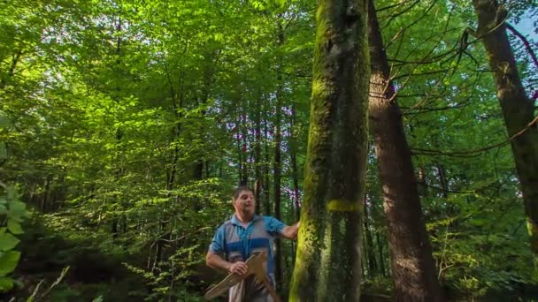 Enthousiaste Forester Met Een Meetapparaat Zoek Naar Perfecte Boom Door — Stockvideo