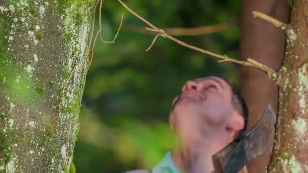 老伐木工正在仰望和寻找最高的云杉树 当他找到一个 他靠在它的头 享受和平的时刻 — 图库视频影像
