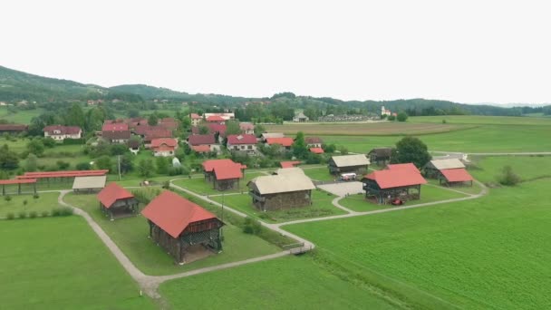 Amazing Exibition Slovenian Hayracks Presenting Remarkable Heritage Drying Hay Faraway — Stock Video