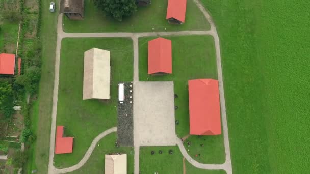 Magnifiques Râteliers Foin Slovènes Concentrés Dans Une Petite Zone Dans — Video