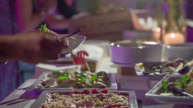 Aç Konuk yavaşça bir plaka üzerinde lezzetli ve güzel dekore gıda koyarak.