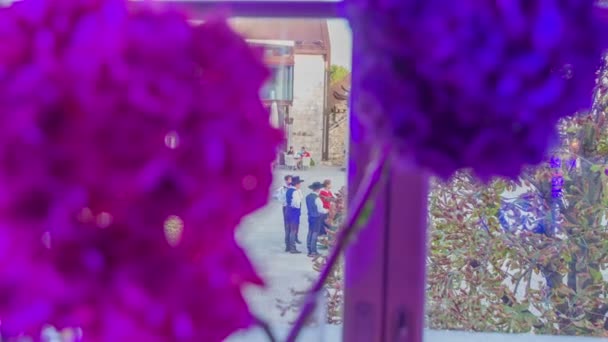 ガライベントですべての女性ゲストを驚かせる壮大な花束を形成する素敵なピンクと紫の花 — ストック動画