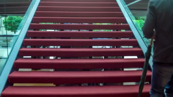 若いミュージシャンは 赤いカーペットの床で階段を登り アートギャラリーの近代的なインテリアを見回すメガネを着用 — ストック動画