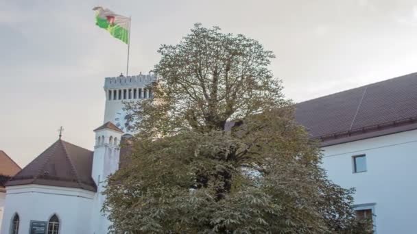 Vár Ljubljanában Egy Csodálatos Történelmi Kilátó Torony Hullámzó Jelentős Zászló — Stock videók