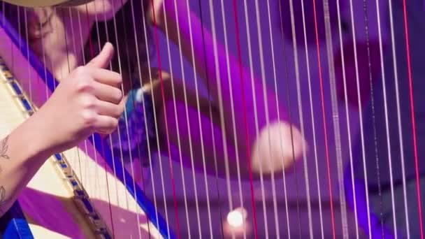 Gorgeous Brunette Tattoo Passionately Playing Harp She Totally Devoted Music — Stock Video