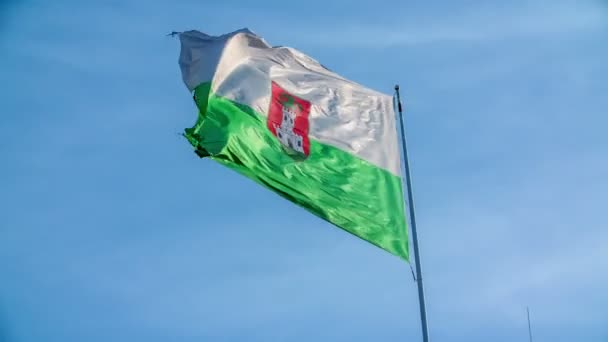 Ładnie Wahająca Się Zielona Biała Flaga Symbolem Smoka Zamku Który — Wideo stockowe