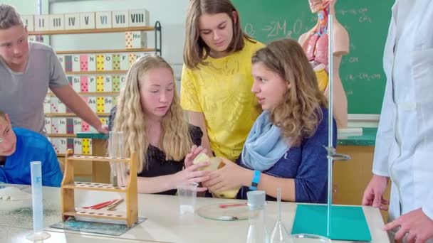 Grize Slovenien Juni 2017 Film Studenter Som Har Kemi Klass — Stockvideo