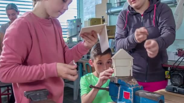 テーンロジークラスのチームワーク 子供たちは彼らのユニークな作品である小さな木造の家を作ることを楽しんでいます — ストック動画