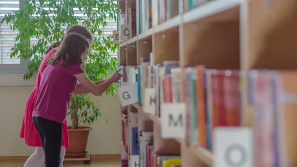 Dos Chicas Les Gusta Libro Sacan Estante Biblioteca — Vídeo de stock