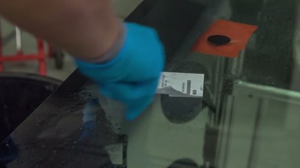 Mechanic Wearing Safety Gloves Taking Sticker Front Window Car — Stock Video