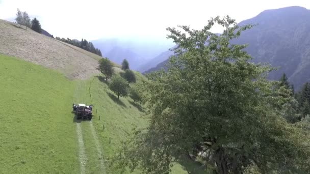 トラクターが干し草でいっぱいの大きな畑に近づいています 空中射撃だ農家には外でやるべきことがたくさんある — ストック動画