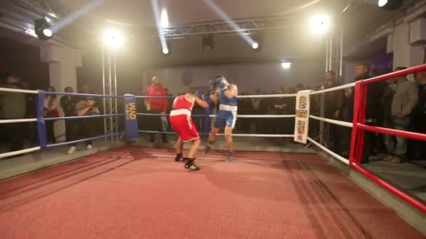 Zalec Eslovenia Diciembre 2017 Dos Boxeadores Están Boxeando Ring Boxeo — Vídeos de Stock