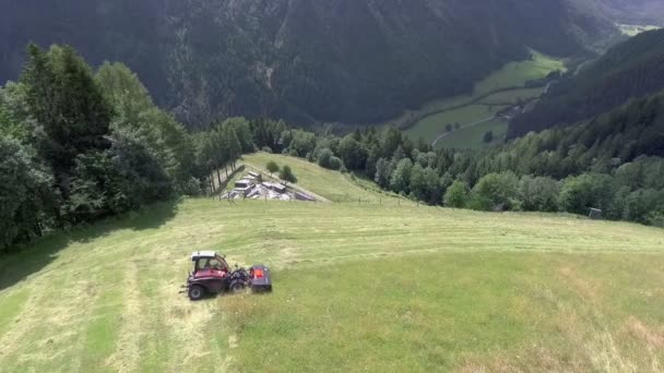 Červený Traktor Začíná Připravovat Seno Strmém Kopci Den Slunečný Teplý — Stock video