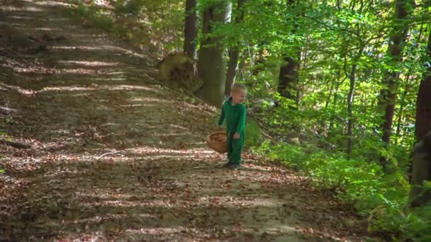 Кадри Чарівного Маленького Хлопчика Який Проводить Час Осінньому Лісі — стокове відео