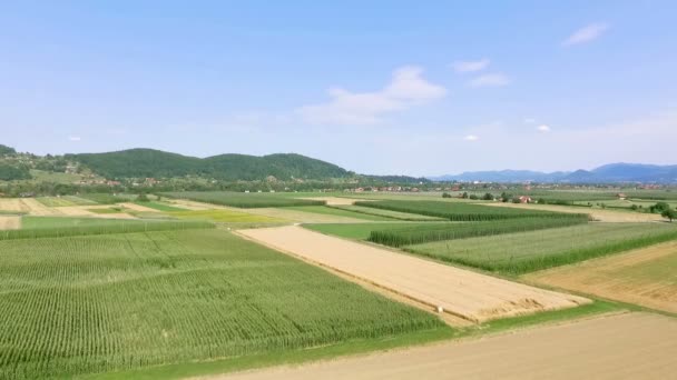 スロベニア東部のザレック近くの広い谷に置かれたトウモロコシ畑と小麦畑 — ストック動画