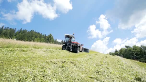 Traktor Kör Uppför Och Det Skär Gräs Med Snarare Skärmaskiner — Stockvideo
