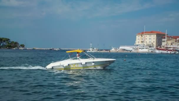 Small White Yellow Yacht Approaching Marina — Stock Video