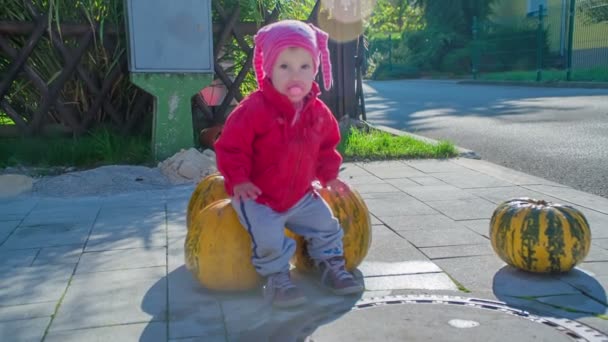 Una Bambina Seduta Una Zucca Felice Halloween — Video Stock