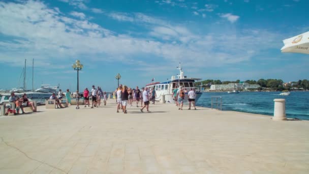 観光客は海辺の桟橋を歩いています — ストック動画