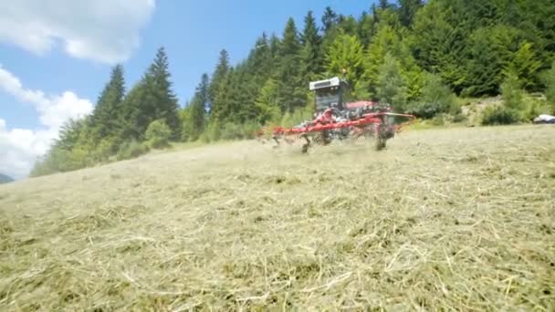 Graby Maszynach Rolniczych Poruszają Się Szybko Poruszają Się Siano Wokół — Wideo stockowe