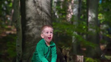 Güz Ormanı 'nda vakit geçiren sevimli küçük bir çocuğun görüntüleri.