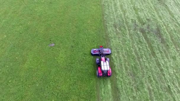 Een Rode Tractor Rijdt Het Veld Het Gras Snijden Met — Stockvideo