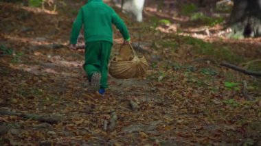 Güz Ormanı 'nda vakit geçiren sevimli küçük bir çocuğun görüntüleri.