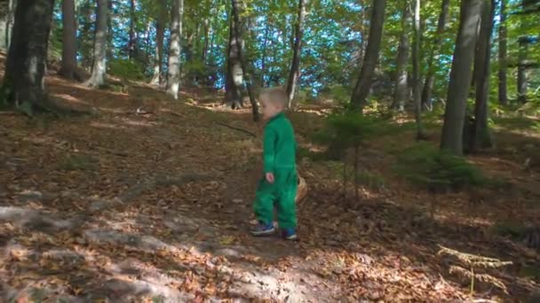 Niño Pequeño Está Pasando Mucho Tiempo Aire Libre Junto Con — Vídeos de Stock