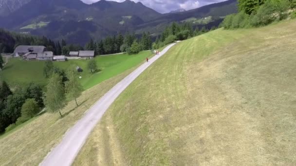 Três Pessoas Estão Andando Uma Estrada Campo Dia Lindo Ensolarado — Vídeo de Stock