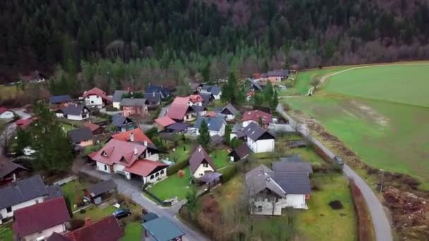 Det Finns Liten Intill Skog Bil Kör Vägen — Stockvideo