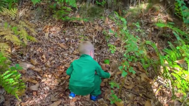 Egy Kis Fiú Csákány Egy Nagy Gomba Földről Egy Erdőben — Stock videók