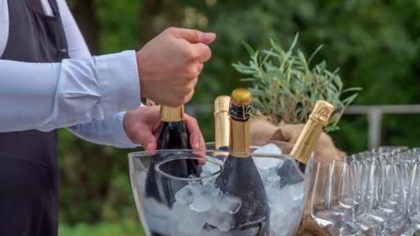 Jeune Barman Tirant Lentement Bouchon Bouteille Champagne — Video
