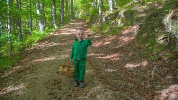 Видео Очаровательного Малыша Проводящего Время Осеннем Лесу — стоковое видео