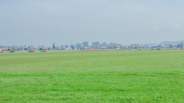 Een Klein Vliegtuig Landt Langzaam Het Gras Dat Als Landingsbaan — Stockvideo