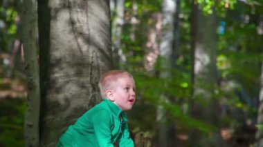 Güz Ormanı 'nda vakit geçiren sevimli küçük bir çocuğun görüntüleri.