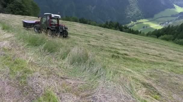 草は伐採され 農家は干し草を準備しています トラクターは上り坂を運転している — ストック動画