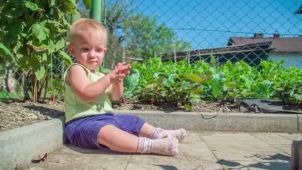 Pěkná holčička sedí v zeleninové zahradě a tleskat na slunný den.
