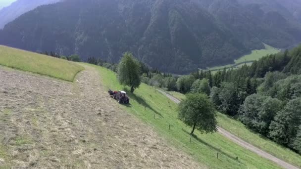 Trator Grande Está Preparando Feno Prado Enorme Hora Verão Dia — Vídeo de Stock