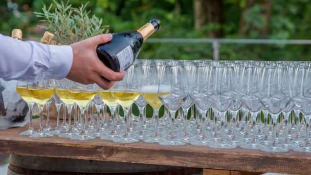 Barmen Yavaşça Soğuk Lezzetli Bir Şampanya Dolduruyor — Stok video